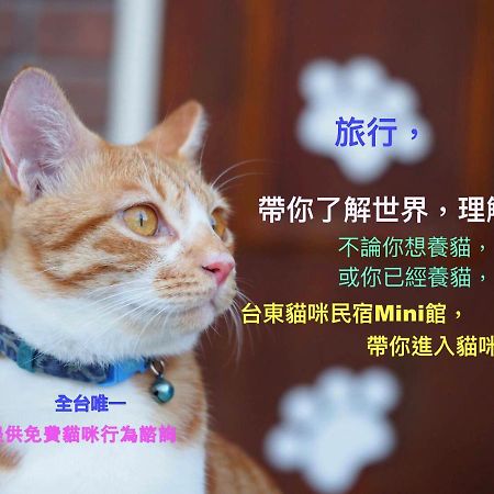 貓咪民宿mini館-中午即可入房 Taitung Exterior foto
